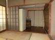安光1